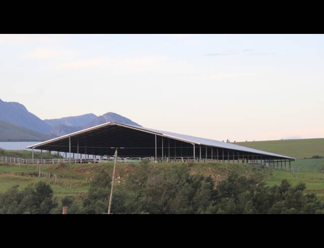 814HA FARM FOR SALE IN RIVERSDALE RURAL